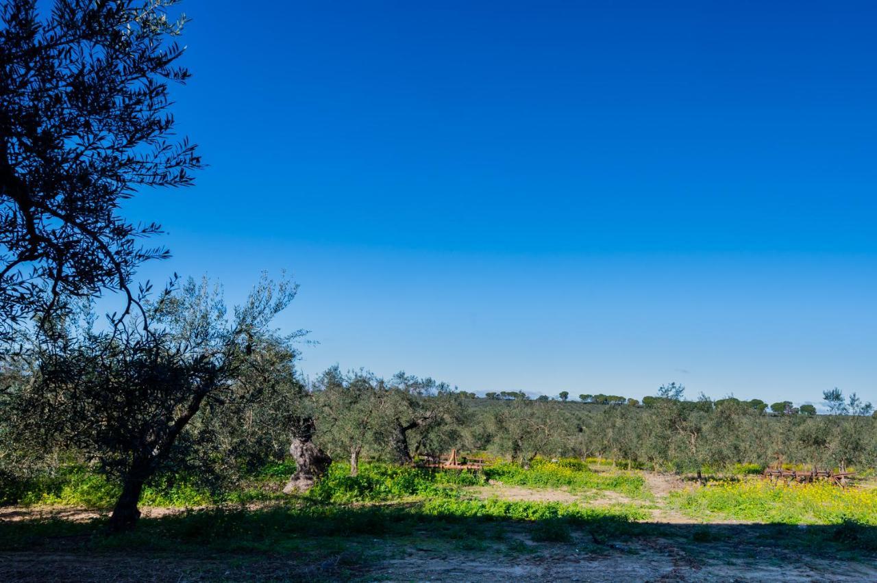 El Paraiso Del Olivar Bollullos de la Mitación Dış mekan fotoğraf